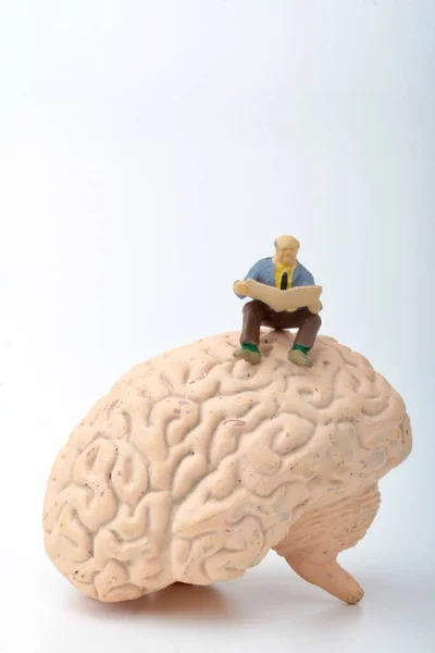 Figurine Miniature Homme Assis Sur Cerveau Géant — Photo