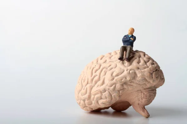 巨大な脳の上に座っている人間のミニチュアフィギュア — ストック写真
