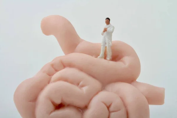 Miniature Figurine Gastroenterologist Doctor Giant Intestine — Stock Photo, Image