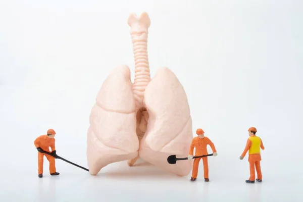 Figurillas Miniatura Hombres Trabajando Con Par Gigante Pulmones Humanos — Foto de Stock