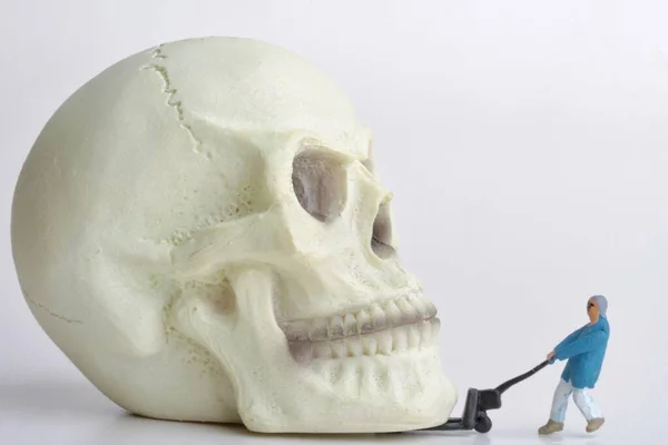 Closeup Shot Human Skull Open Eyes Toy — Fotografia de Stock