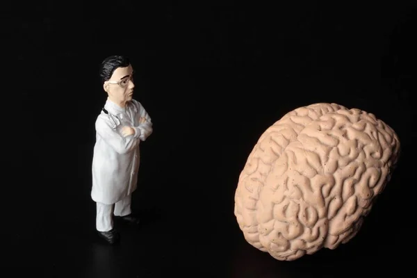 黒い背景に巨大な人間の脳を持つ脳神経外科医のミニチュアフィギュア — ストック写真