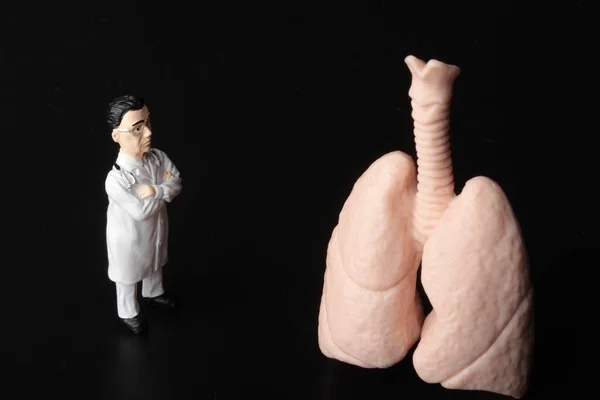 Miniature Figurine Doctor Huge Pair Lungs — Stock Photo, Image