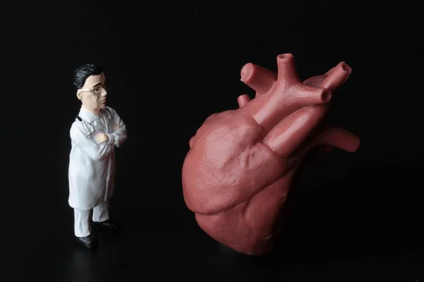 Estatueta Miniatura Médico Cardiologista Com Coração Humano Gigante Fundo Preto — Fotografia de Stock