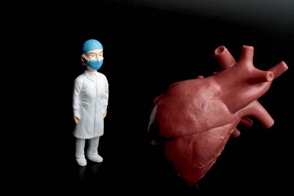 Statuetta Miniatura Medico Cardiologo Con Cuore Umano Gigante Sfondo Nero — Foto Stock