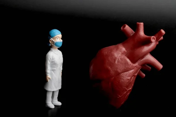 Egy Kardiológus Orvos Miniatűr Figurája Hatalmas Emberi Szívvel Fekete Alapon — Stock Fotó