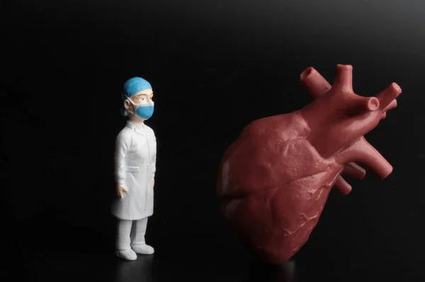 Statuetta Miniatura Medico Cardiologo Con Cuore Umano Gigante Sfondo Nero — Foto Stock