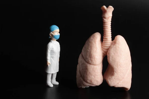 Miniature Figurine Doctor Huge Pair Lungs — Stock Photo, Image