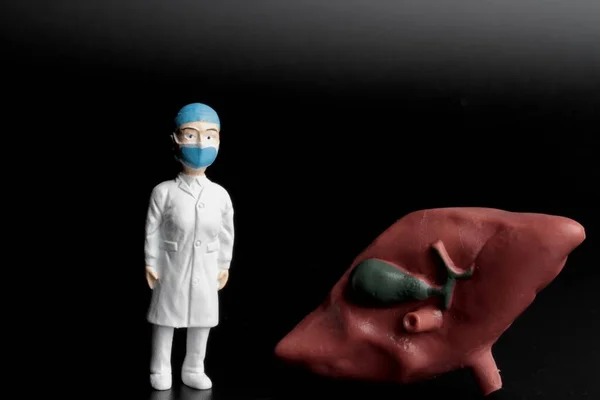 Estatueta Miniatura Cirurgião Uma Enfermeira Com Fígado Gigante Fundo Preto — Fotografia de Stock