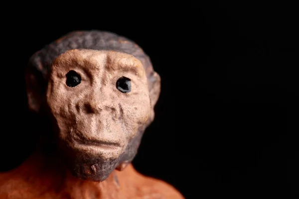 Retrato Cerca Una Muñeca Primitiva Sobre Fondo Negro —  Fotos de Stock