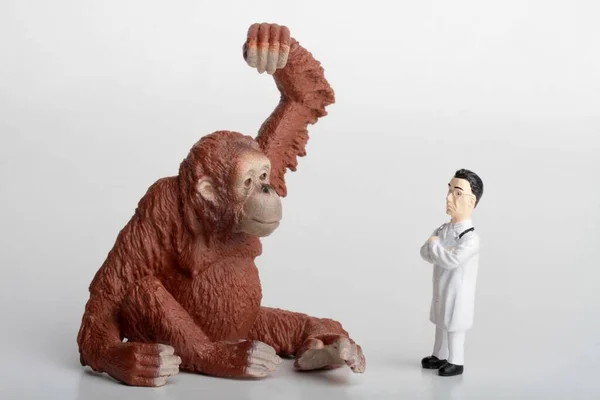 オランウータンの猿を持つ獣医師のミニチュアフィギュア — ストック写真