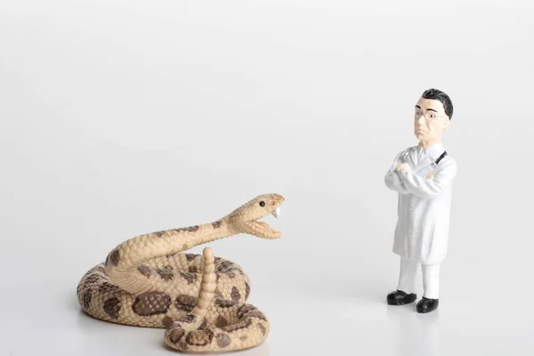 Miniature Figurine Veterinarian Doctor Rattlesnake — Stock Photo, Image