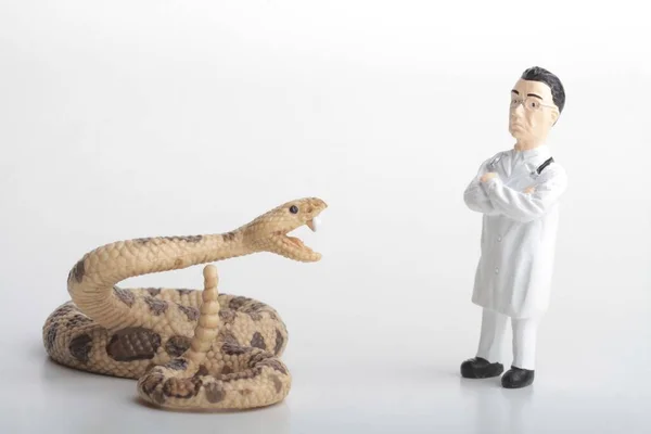 Estatueta Miniatura Médico Veterinário Com Uma Cascavel — Fotografia de Stock