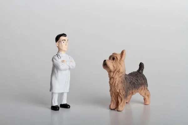 Miniatuur Beeldje Van Een Dierenarts Met Een Reusachtige Yorkshire Hond — Stockfoto