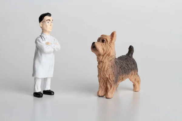 Miniatuur Beeldje Van Een Dierenarts Met Een Reusachtige Yorkshire Hond — Stockfoto