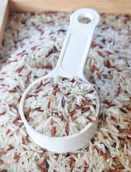 Cuisine Food Uncooked Brown White Jasmine Long Rice Basmati Rice — 스톡 사진