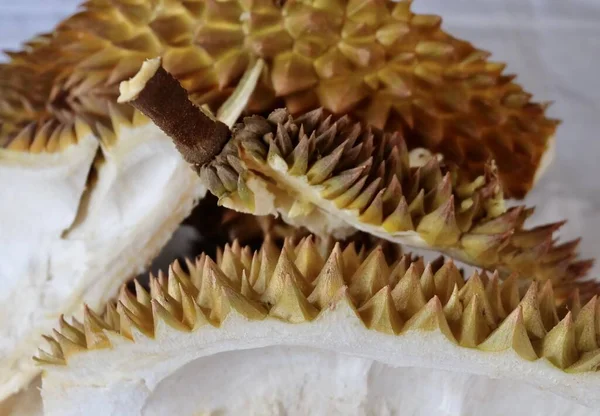 Zbliżenie Pustej Skórki Owoców Duriana Durian Jest Jednym Najbardziej Popularnych — Zdjęcie stockowe
