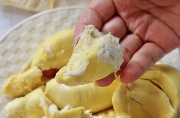 Tangan Memegang Fresh Ripe Durian Salah Satu Buah Paling Populer — Stok Foto