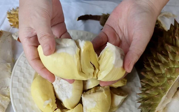 Mano Sosteniendo Durian Maduro Fresco Una Las Frutas Más Populares — Foto de Stock
