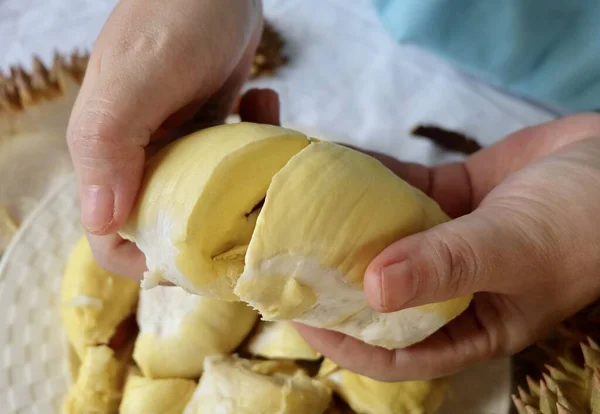 Ręczne Trzymanie Świeżo Dojrzałego Duriana Jeden Najbardziej Popularnych Owoców Świecie — Zdjęcie stockowe