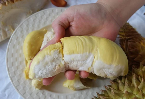 Mano Sosteniendo Durian Maduro Fresco Una Las Frutas Más Populares — Foto de Stock