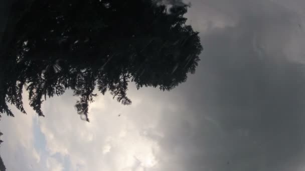 Gotas de lluvia cayendo sobre ventana — Vídeos de Stock