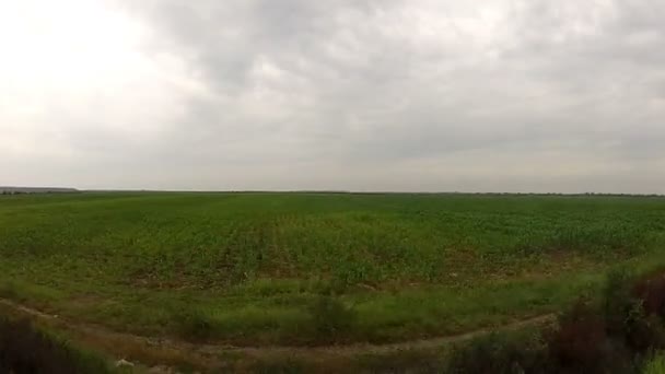 Vista del paisaje que pasa desde una ventana de tren — Vídeos de Stock