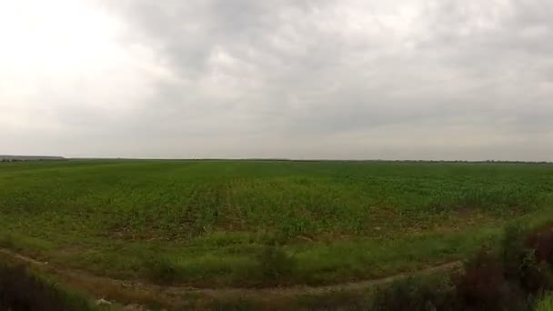 Vue du paysage de passage depuis une fenêtre de train — Video