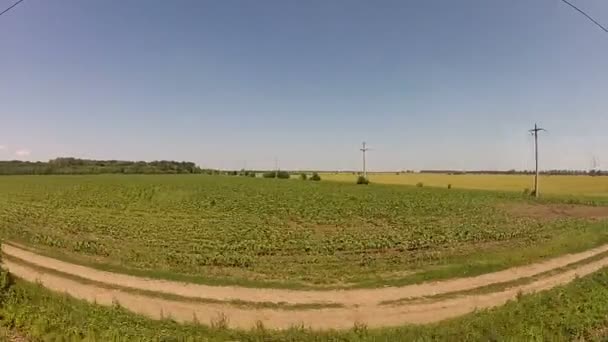 Blick auf vorbeifahrende Landschaft aus einem Zugfenster — Stockvideo