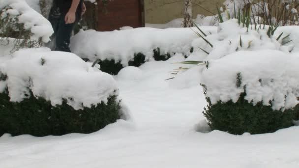 Homem caminhando na neve fresca — Vídeo de Stock