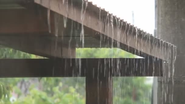 雨水は屋根から流れる — ストック動画
