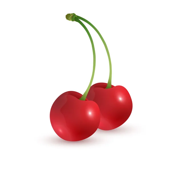 Vektor rote reife Kirschbeeren Illustration — Stockvektor