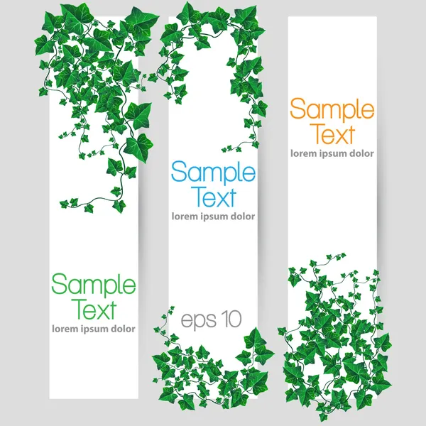 Conjunto de pancartas vectoriales decoradas con hojas de hiedra — Archivo Imágenes Vectoriales