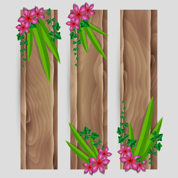 Feuilles de lierre et fleurs exotiques décorées ensemble de bannière en bois vectoriel — Image vectorielle