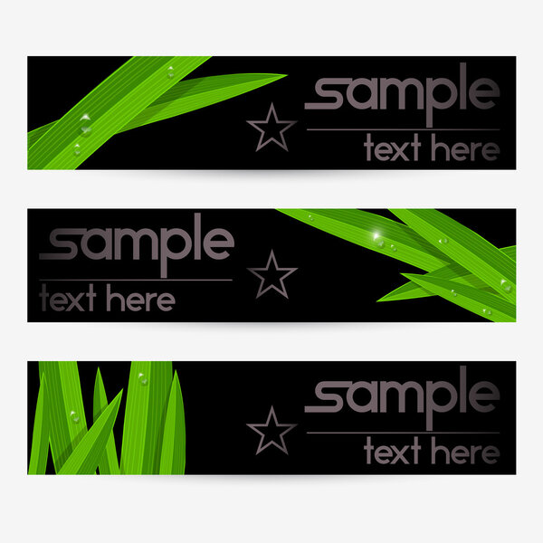 Векторный набор элегантного листового баннера
