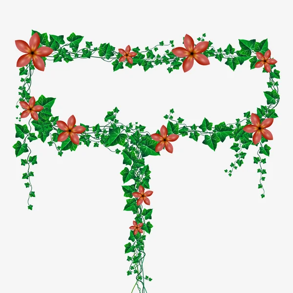 Bulle vectorielle de message de feuilles de lierre avec des fleurs — Image vectorielle