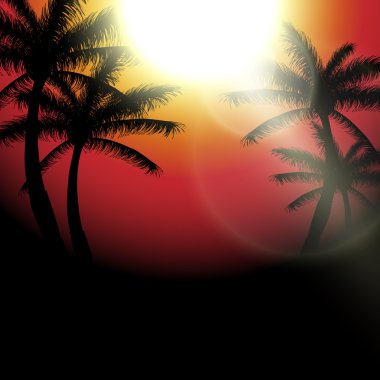 Beach palm ağaçlar ile vektör yaz gün batımı görünümü