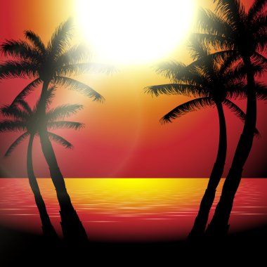Beach palm ağaçlar ile vektör yaz gün batımı görünümü