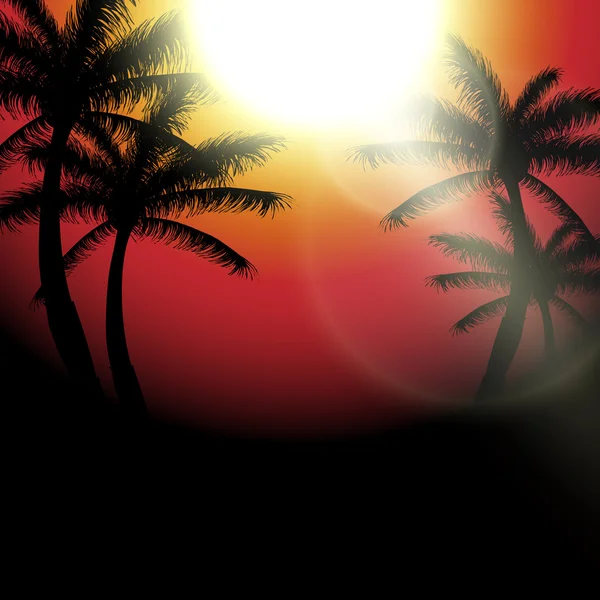 Beach palm ağaçlar ile vektör yaz gün batımı görünümü — Stok Vektör