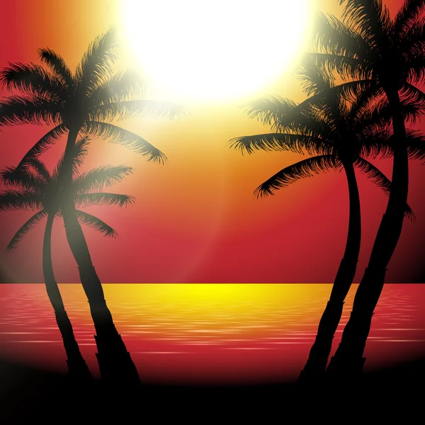 Vector verão vista do pôr do sol na praia com palmeiras — Vetor de Stock