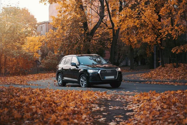 Riga, Letonya - 6 Ekim 2021: 2015 model Audi Q73.0 TFSI Riga 'da güzel sonbaharda test sürüşünde. Audi Q7 SUV 3.0 litre süper şarjlı motorla çalışıyor..