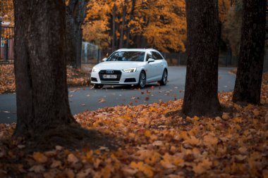 Riga, Letonya-6 Ekim 2021: Beyaz Audi A4 'ün güzel sonbahar yaprağı düşüşü sırasında şehir caddesinde sürüşünün bulanık görüntüsü