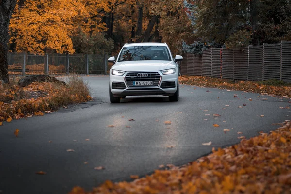 Riga, Letonya-6 Ekim 2021: Beyaz Audi Q5 güzel sonbahar yaprağı düşüşü sırasında şehir sokaklarında araba sürüyor
