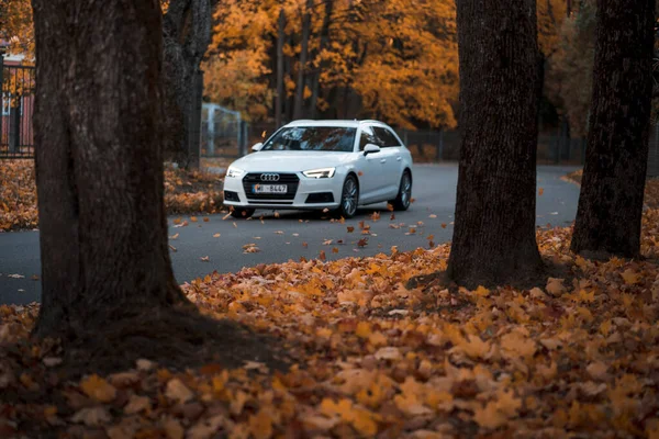 Riga, Letonya-6 Ekim 2021: Beyaz Audi A4 'ün güzel sonbahar yaprağı düşüşü sırasında şehir caddesinde sürüşünün bulanık görüntüsü