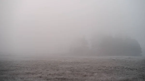 Beau Paysage Brumeux Automne Novembre Matin Brumeux Gelée Blanche Prairie — Photo