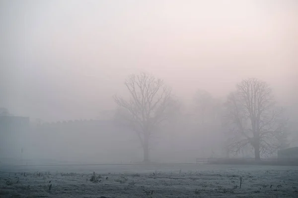 Mlhavé Chladné Podzimní Ráno Městě Selektivní Zaměření — Stock fotografie