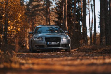 Riga, Letonya 21 Ekim 2021: Güneşli bir sonbahar gününde Audi A6 3.0 TDI Quattro 'nun orman yolunda ön görüntüsü
