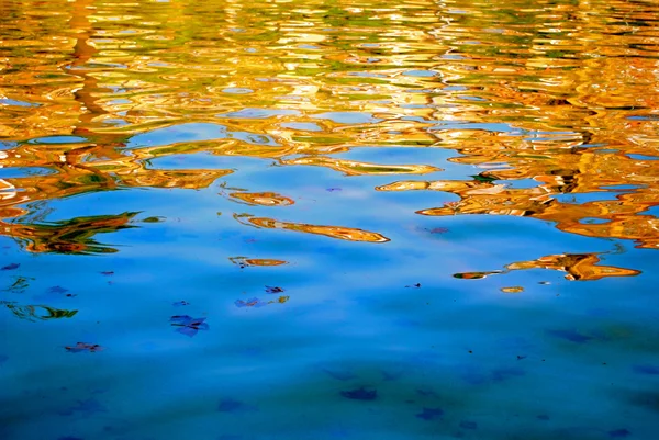 Золотая вода — стоковое фото