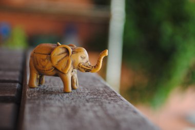Luckily elephant