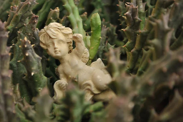 An Angel between some cactus — Stock Photo, Image